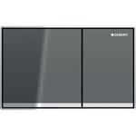 Pulsador serie Omega60 de Geberit. Doble descarga, enrasado: lava, espejado, cromado brillante